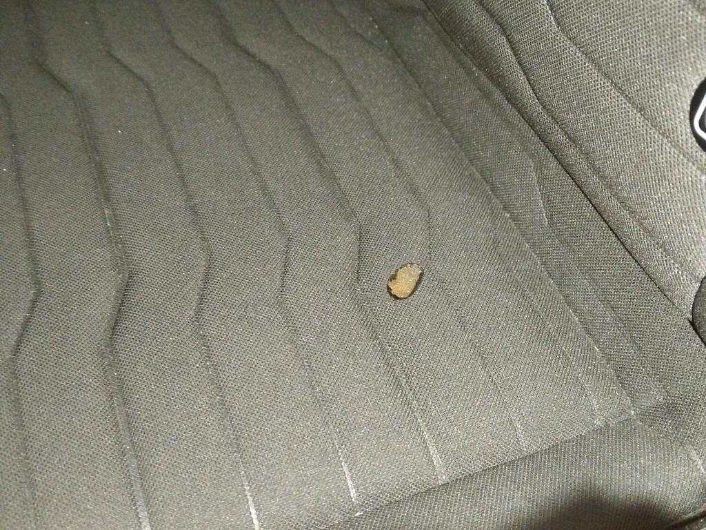 Daño en Asiento Quemado Quemado