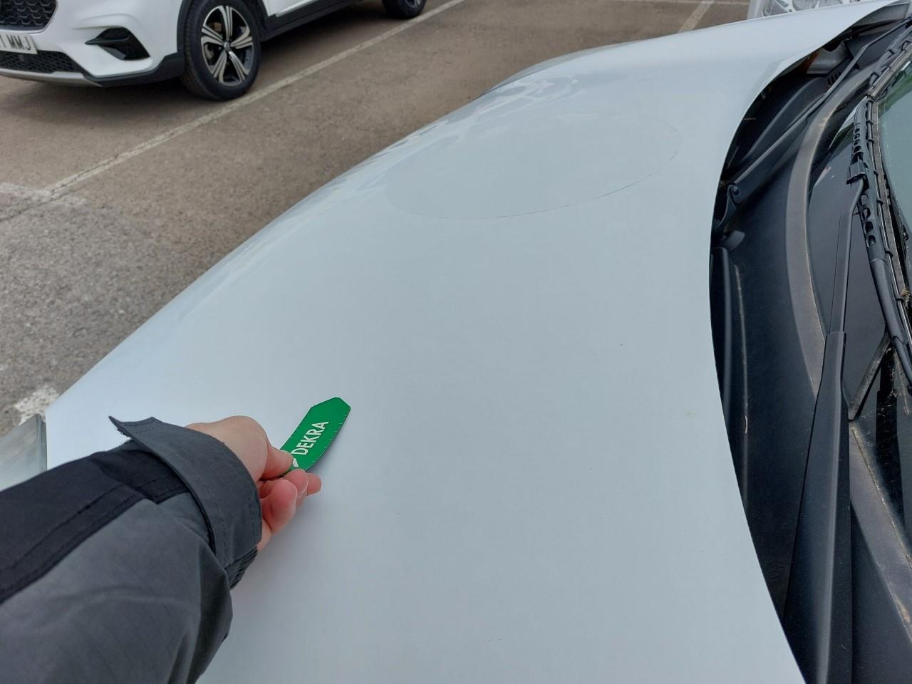 Daño en capo Golpe carrocería y  pintura dañada Golpe carrocería y  pintura dañada