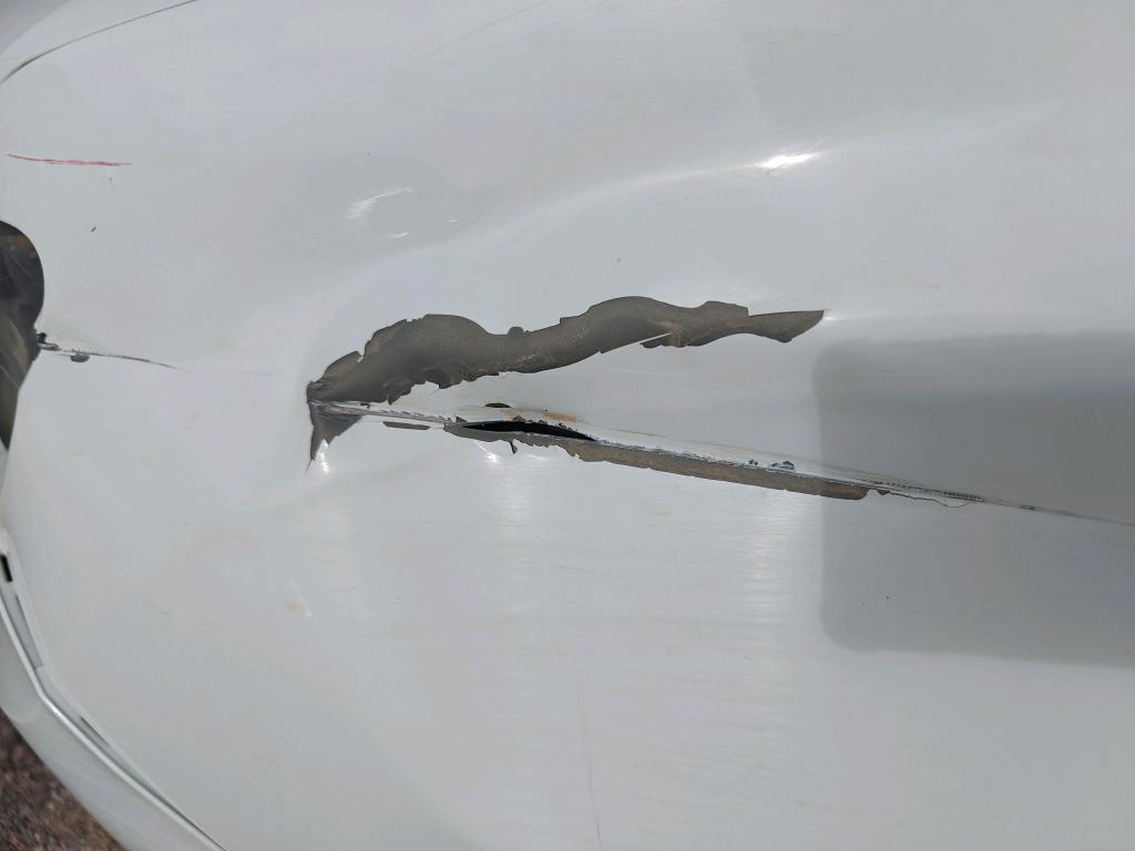 Daño en Aleta delantera izquierdo Roto Roto
