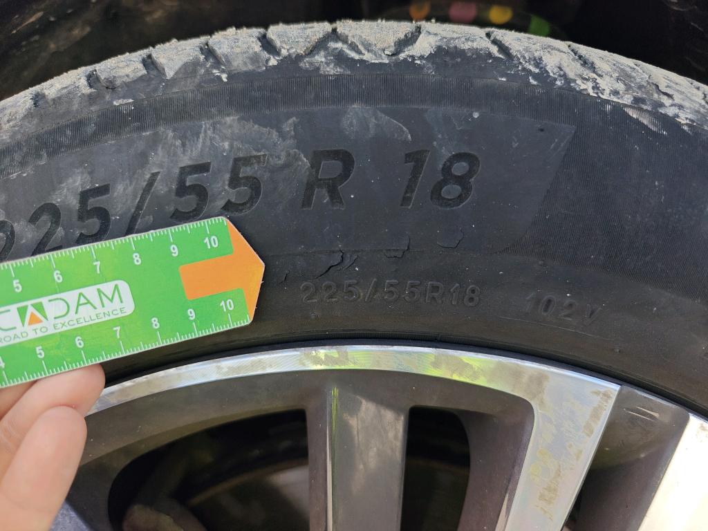 Daño en Neumatico Dl Iz Roto Roto