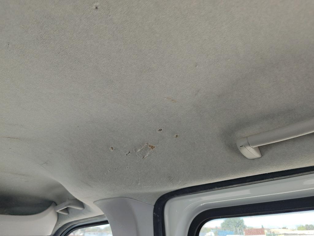 Daño en Tapicería techo Roto Roto