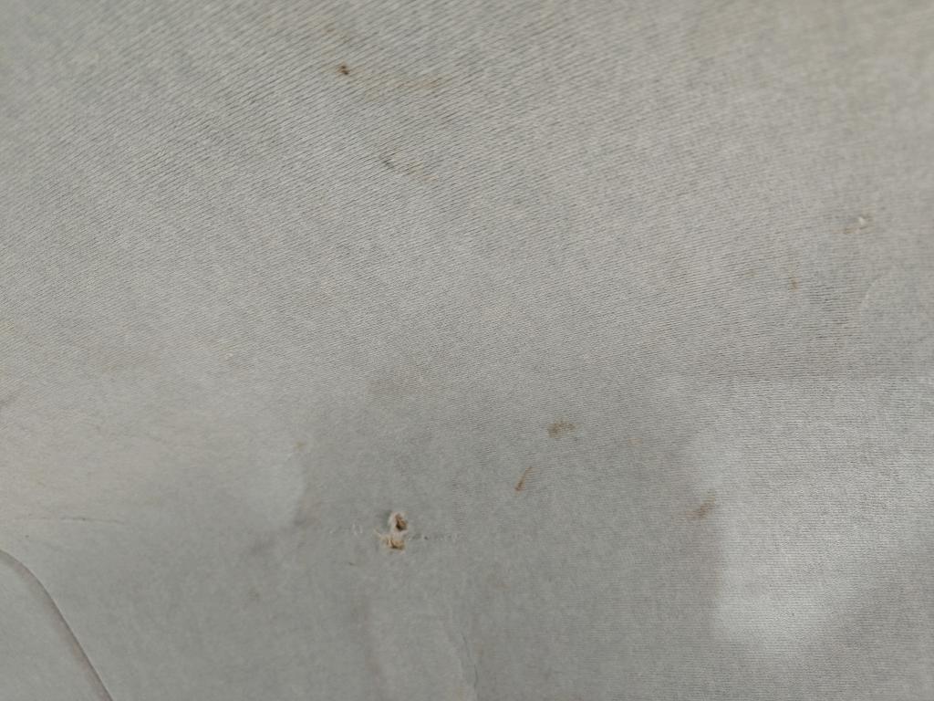 Daño en Tapicería techo Roto Roto