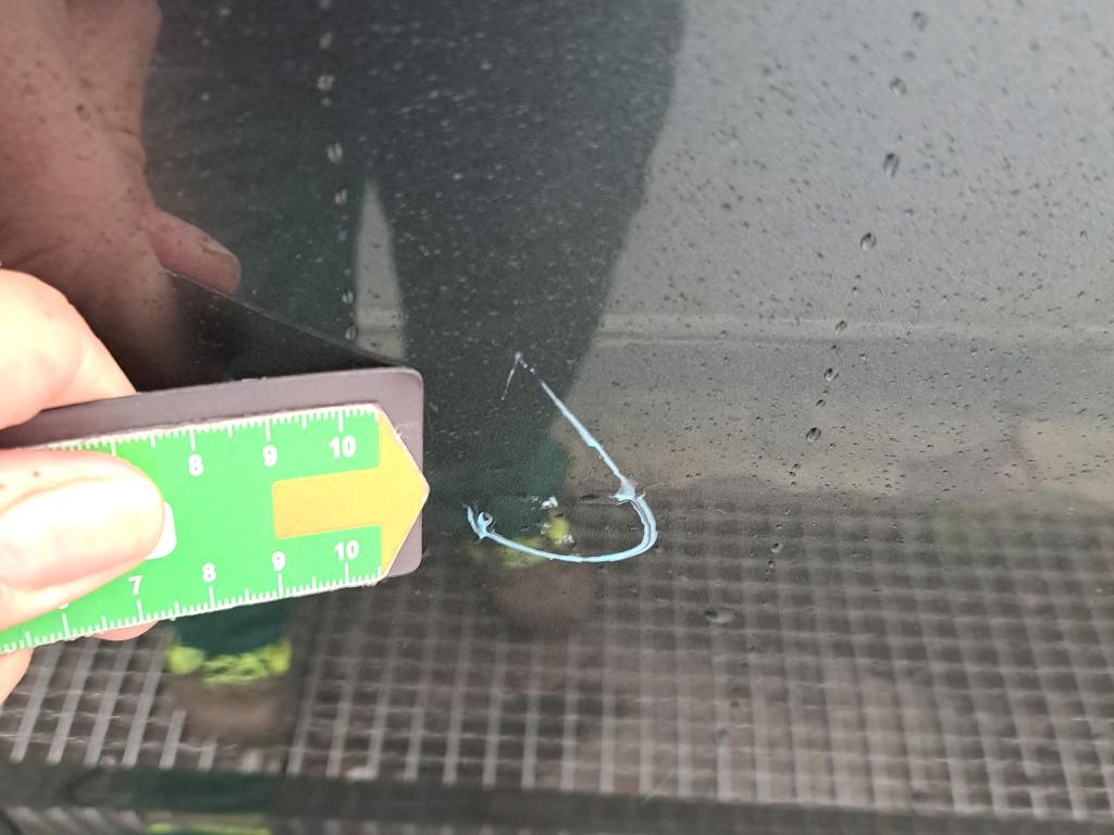 Daño en Puerta delantera derecha Arañazo ligero Arañazo ligero