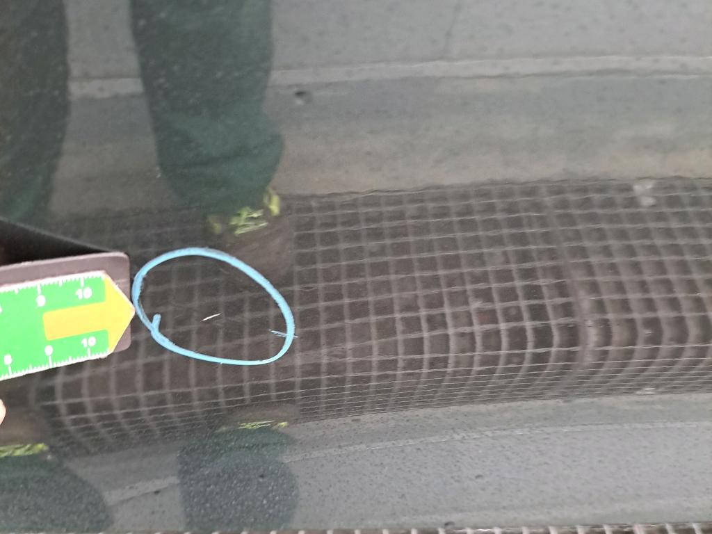 Daño en Puerta trasera derecha Arañazo ligero Arañazo ligero