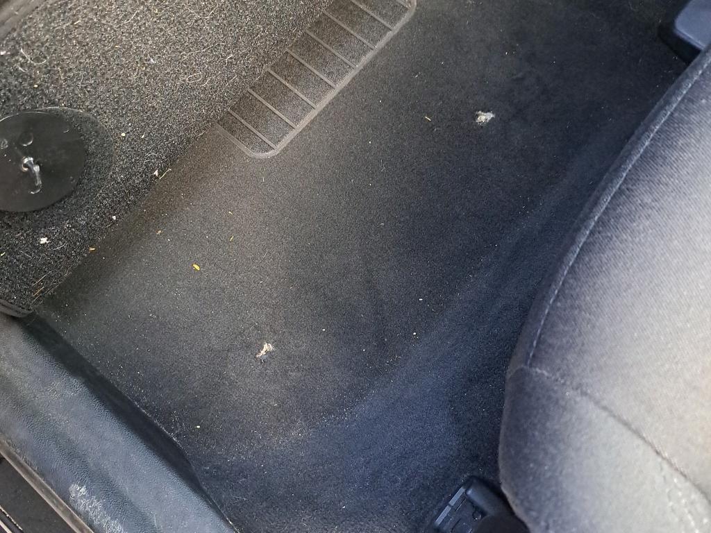 Daño en alfombra   Roto Roto