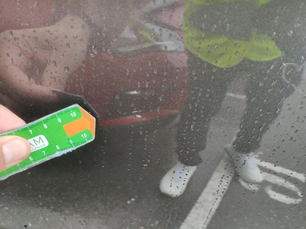 Daño en Puerta trasera izquierda Arañazo ligero Arañazo ligero
