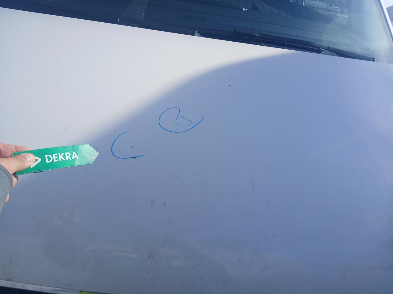 Daño en capo Arañazo profundo Arañazo profundo