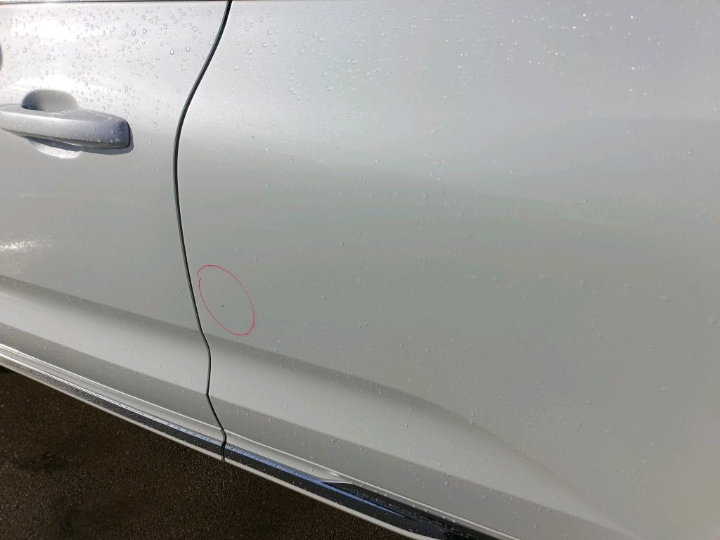 Daño en Puerta trasera izquierda Arañazo ligero Arañazo ligero
