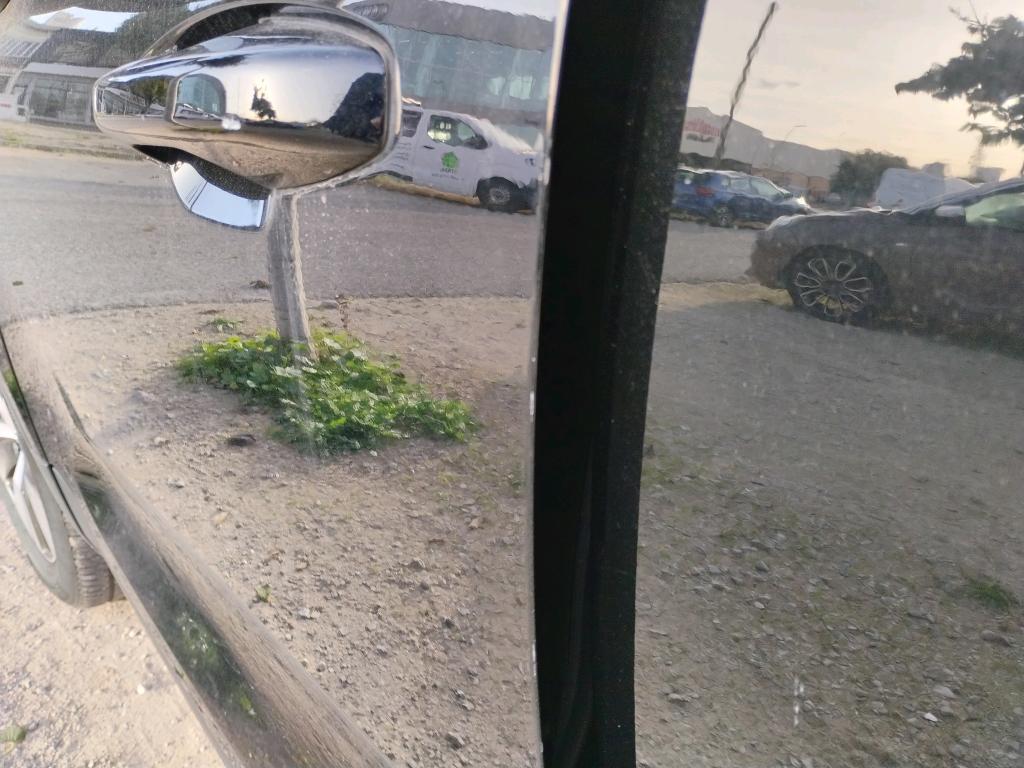 Daño en Puerta delantera izquierda Arañazo ligero Arañazo ligero