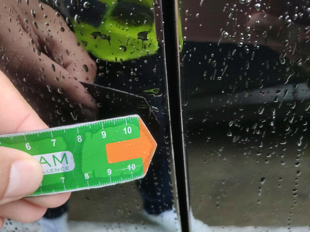 Daño en Puerta delantera izquierda Arañazo ligero Arañazo ligero