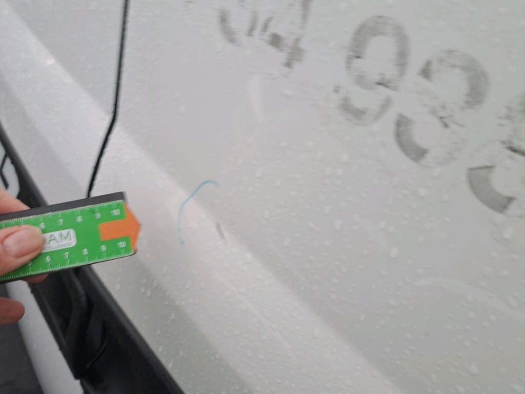 Daño en Puerta Tr Arañazo ligero Arañazo ligero