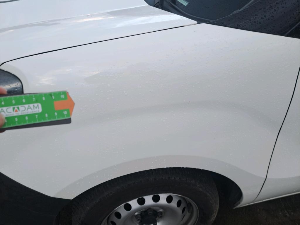 Daño en Aleta delantera izquierdo Arañazo ligero Arañazo ligero