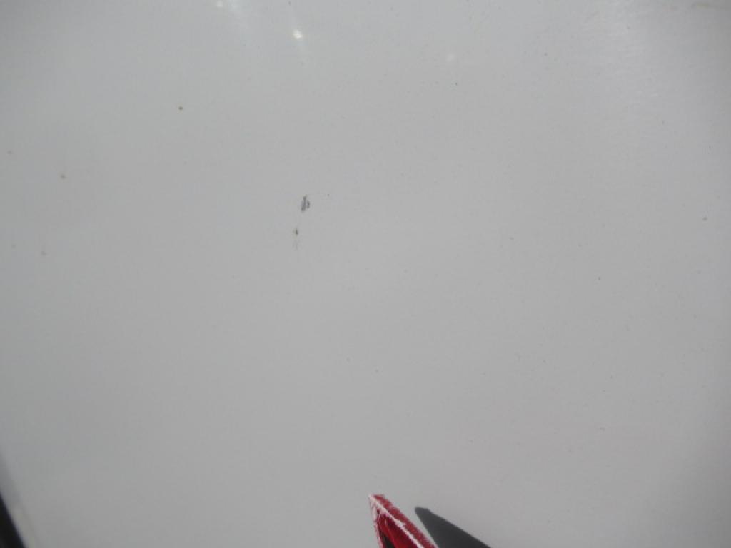 Daño en Panel dañado dañado