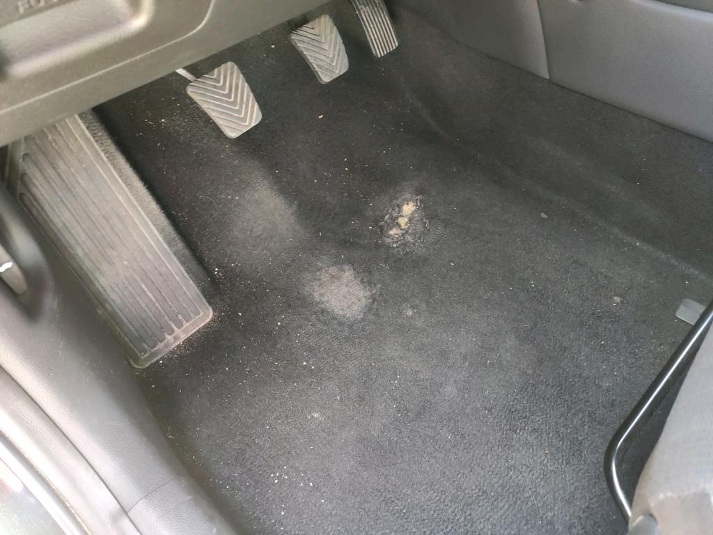 Daño en Asientos dañado dañado