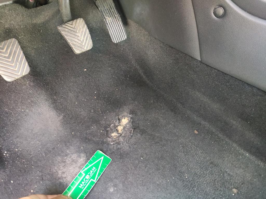 Daño en Asientos dañado dañado