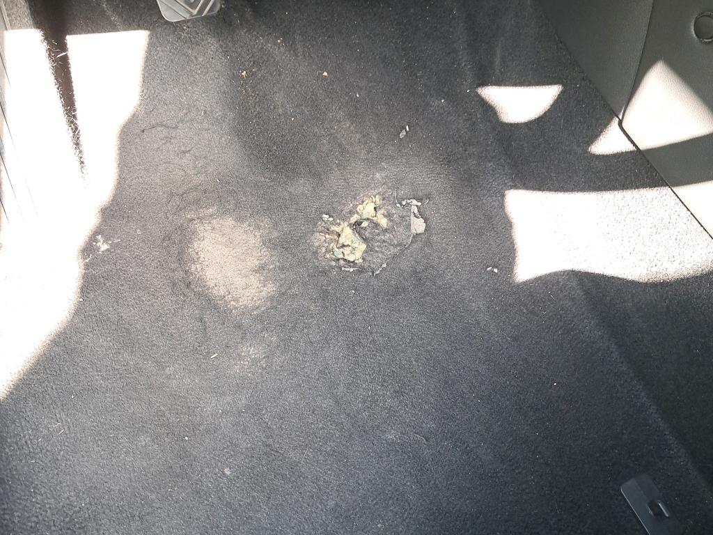 Daño en Asientos dañado dañado