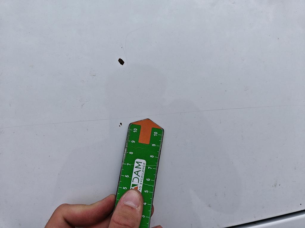 Daño en Carocería dañado dañado