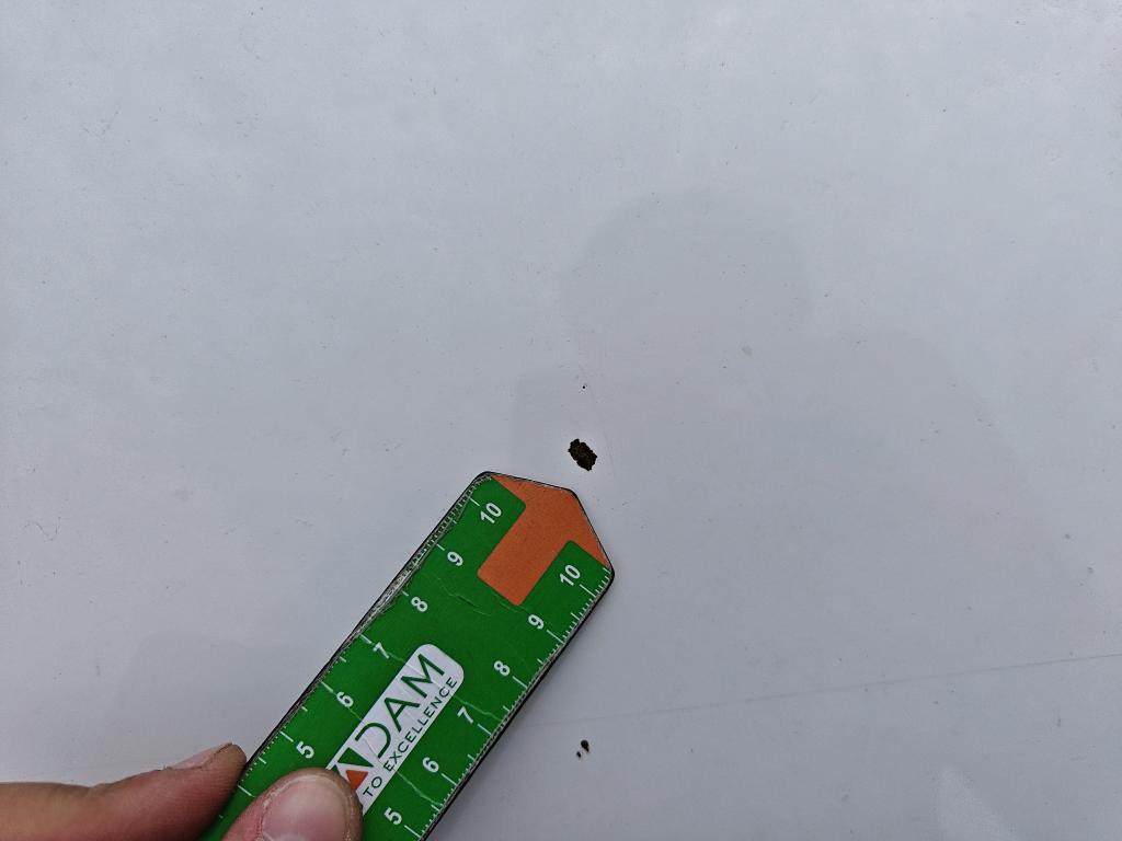 Daño en Carocería dañado dañado