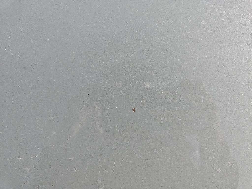Daño en Carocería dañado dañado