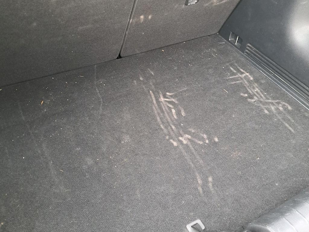 Daño en Asientos sucio sucio