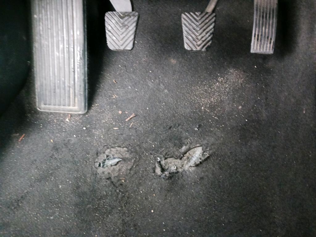 Daño en Asientos dañado dañado