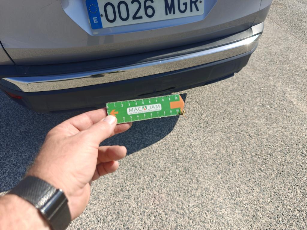 Daño en Carocería dañado dañado