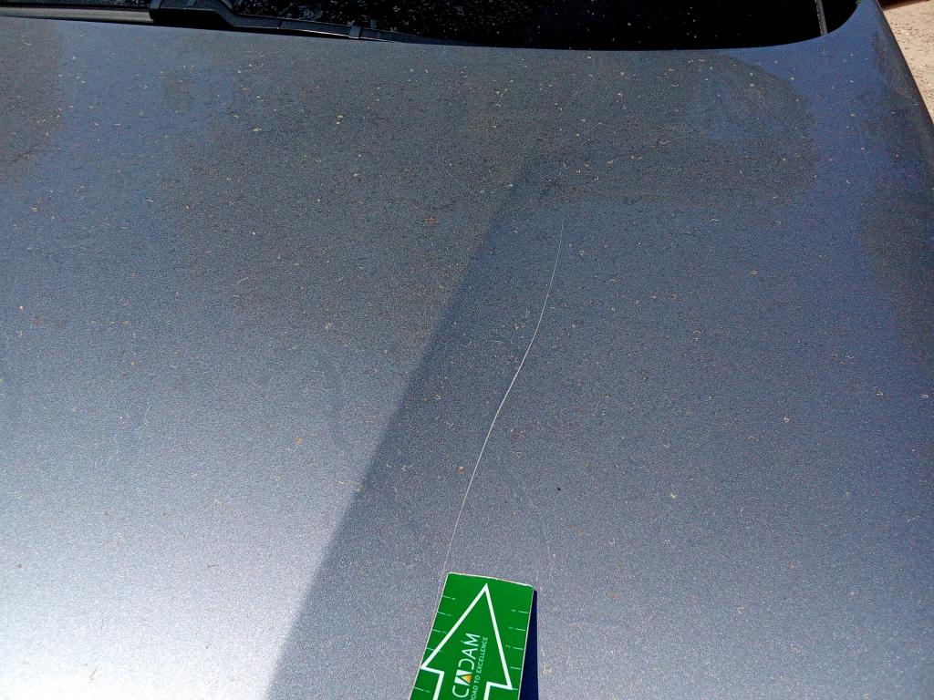 Daño en Carocería dañado dañado
