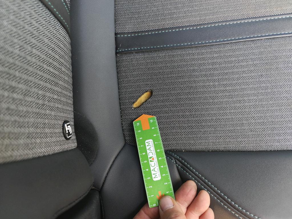 Daño en Asientos dañado dañado