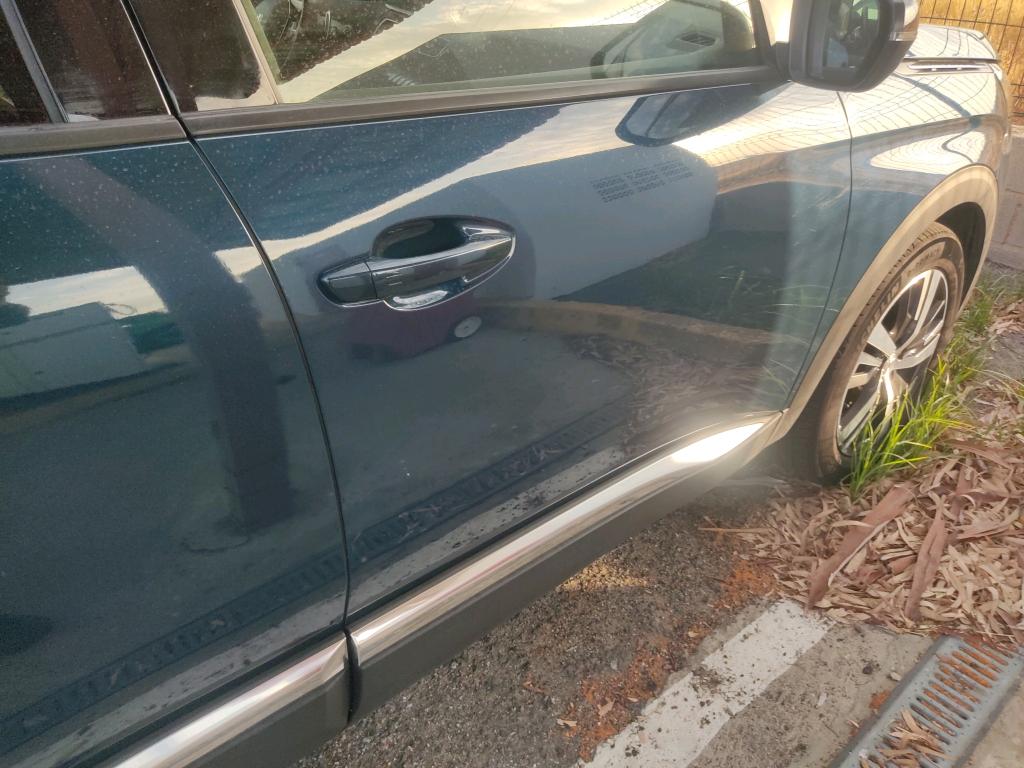Daño en Panel Arañazo ligero Arañazo ligero