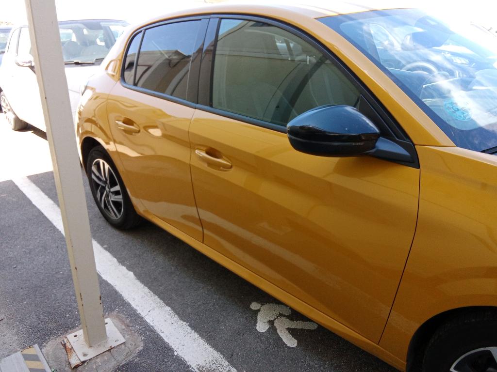 Daño en Panel Bollo Bollo
