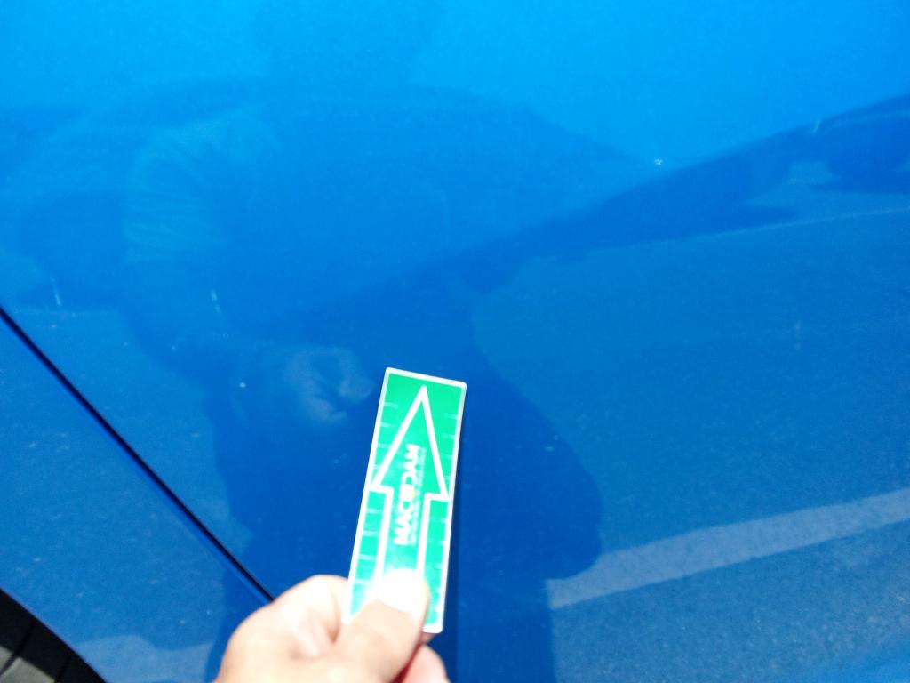 Daño en Panel dañado dañado