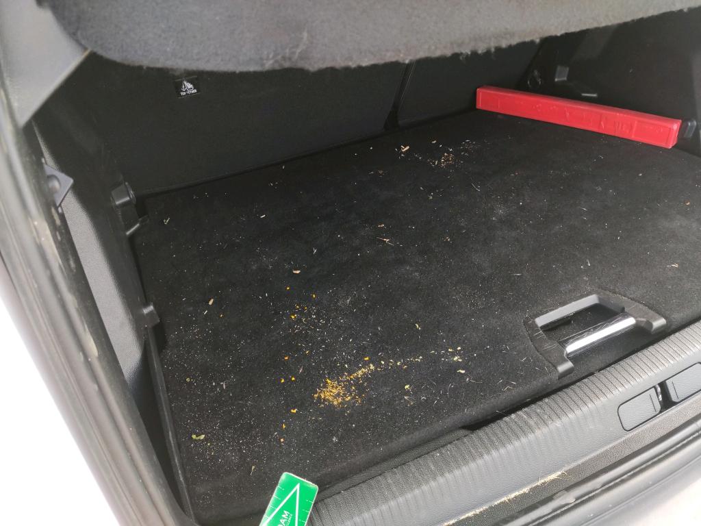 Daño en Asientos sucio sucio