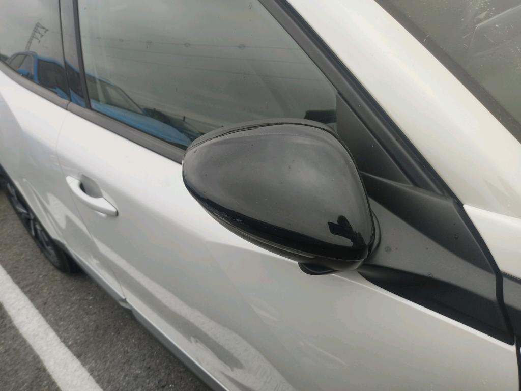 Daño en Panel Bollo Bollo