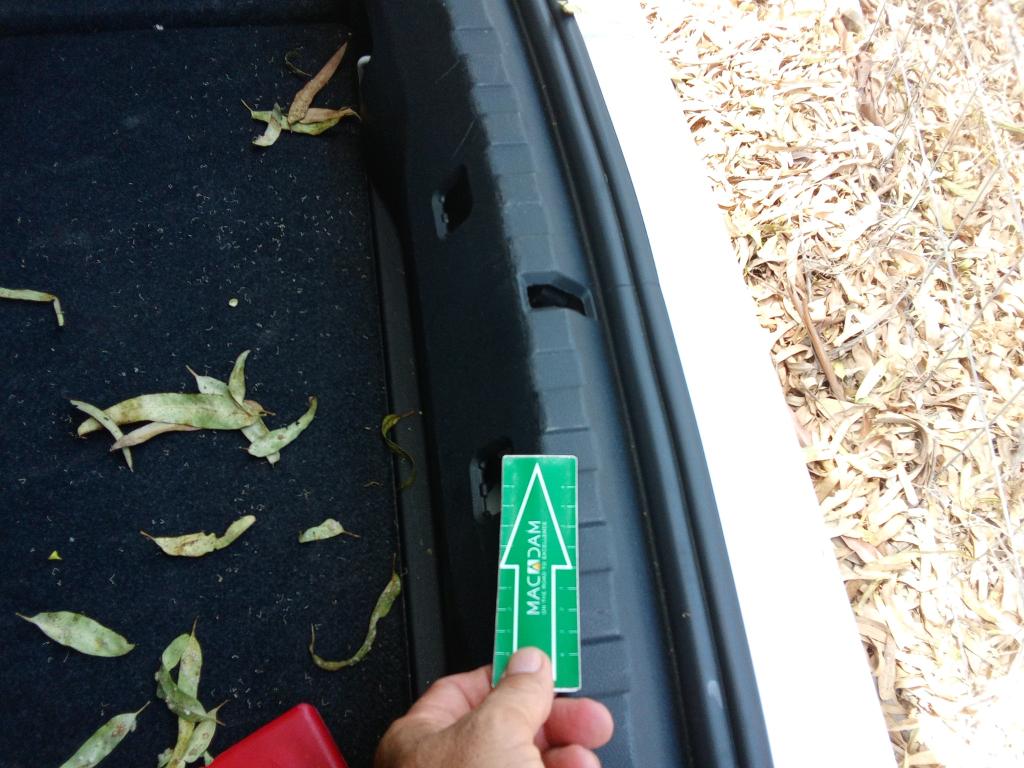 Daño en Asientos dañado dañado