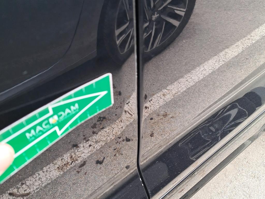 Daño en panel dañado dañado