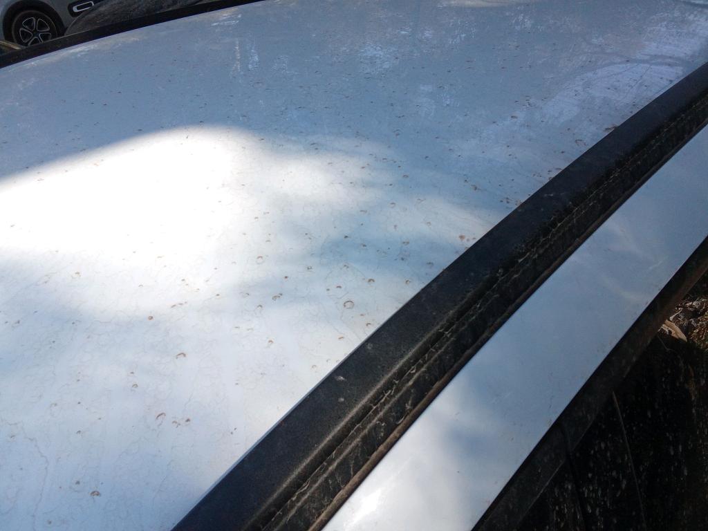 Daño en Techo dañado dañado