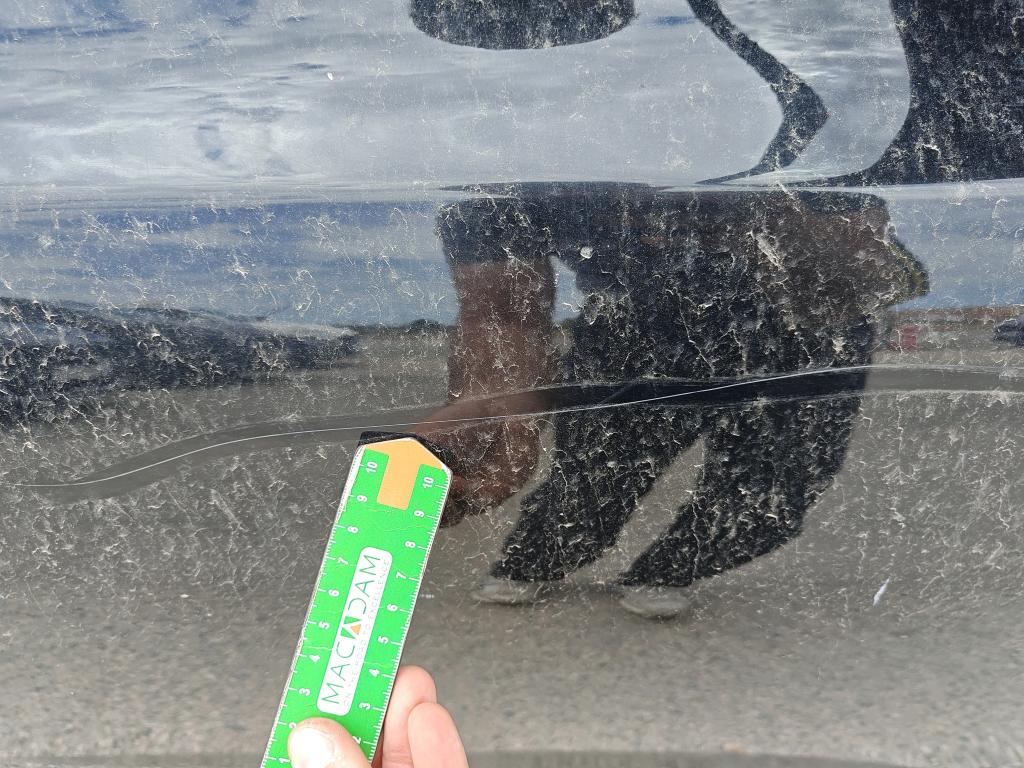 Daño en Panel Arañazo ligero Arañazo ligero