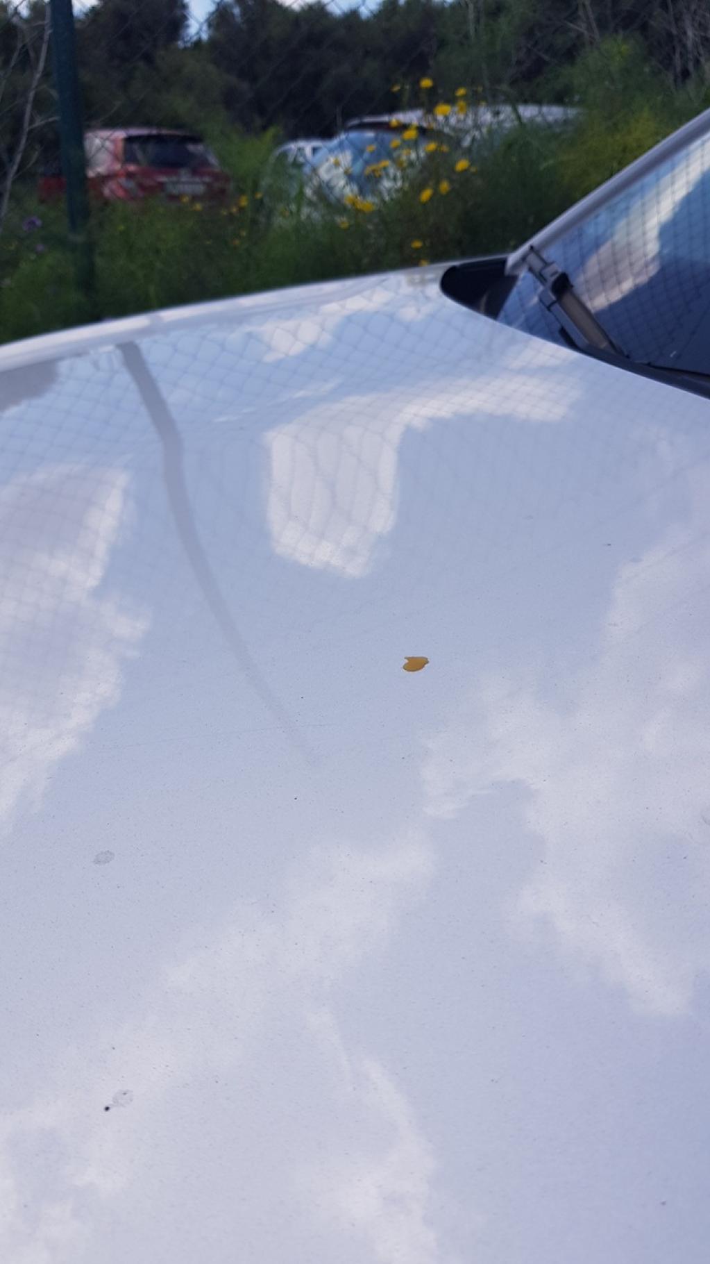 Daño en Carocería dañado dañado