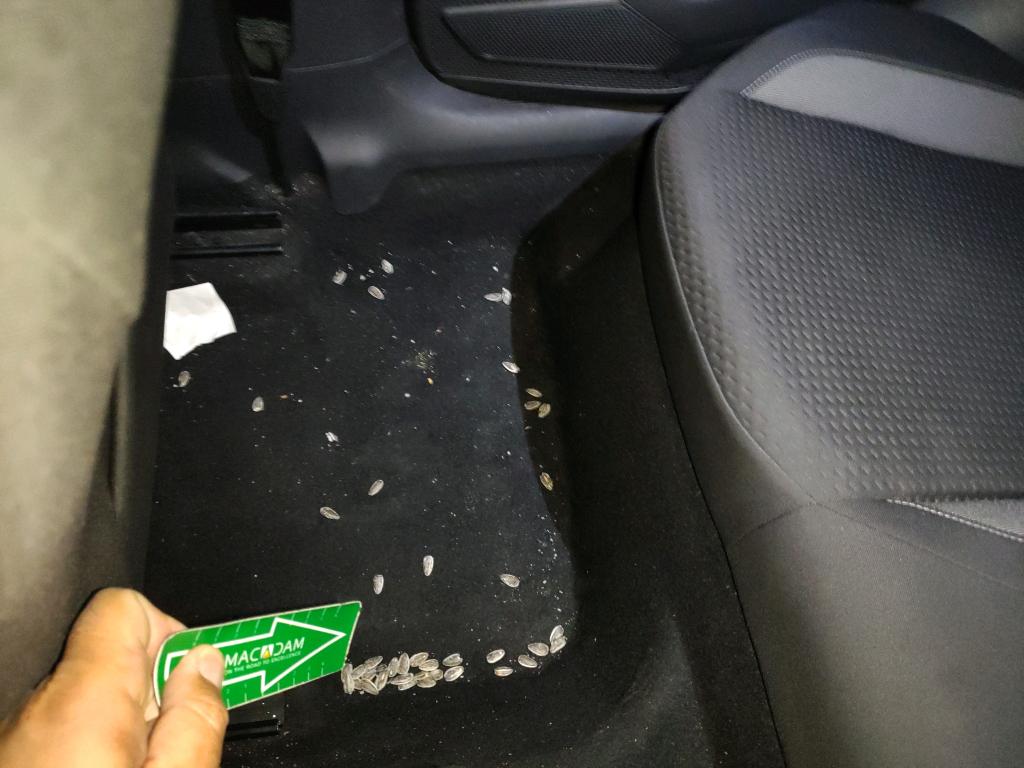 Daño en Asientos sucio sucio