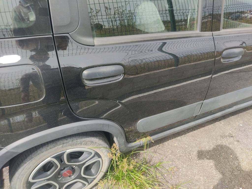 Daño en Panel Arañazo ligero Arañazo ligero