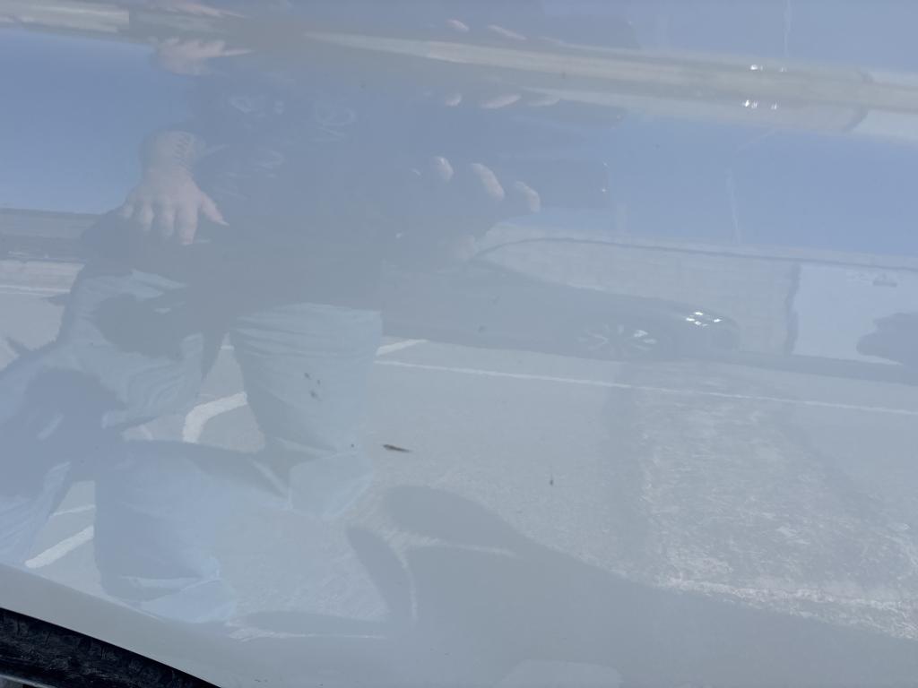 Daño en Carocería dañado dañado