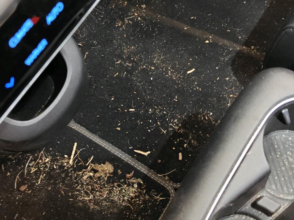 Foto 32 van Hyundai Ioniq 5