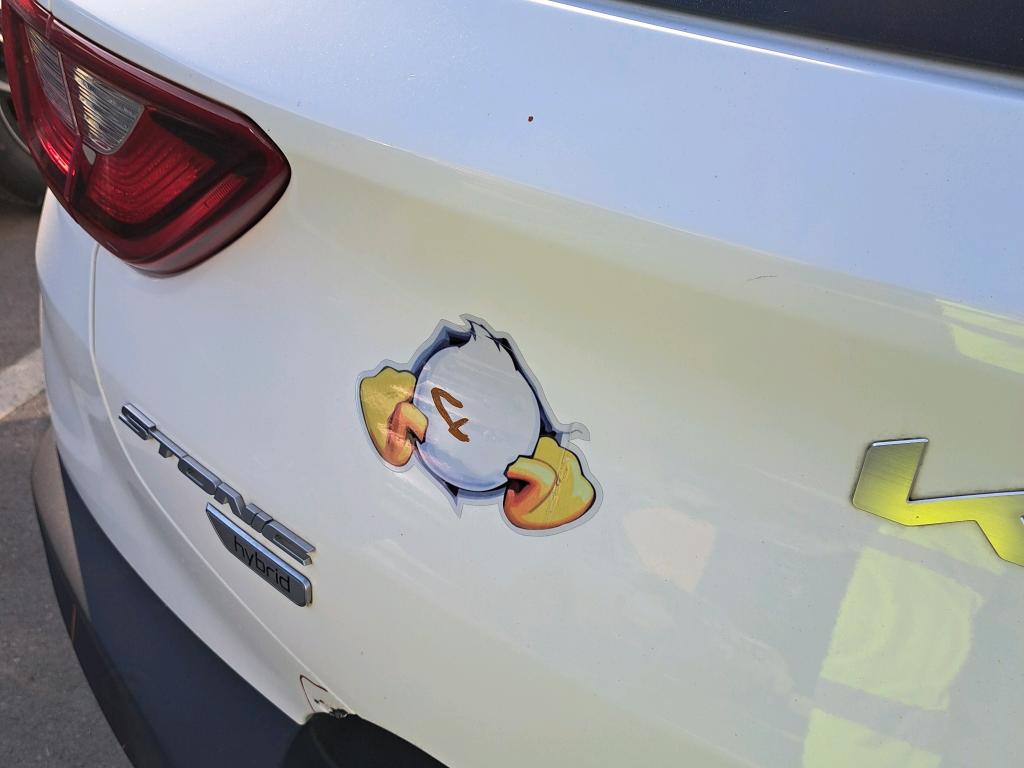 Schade afbeelding