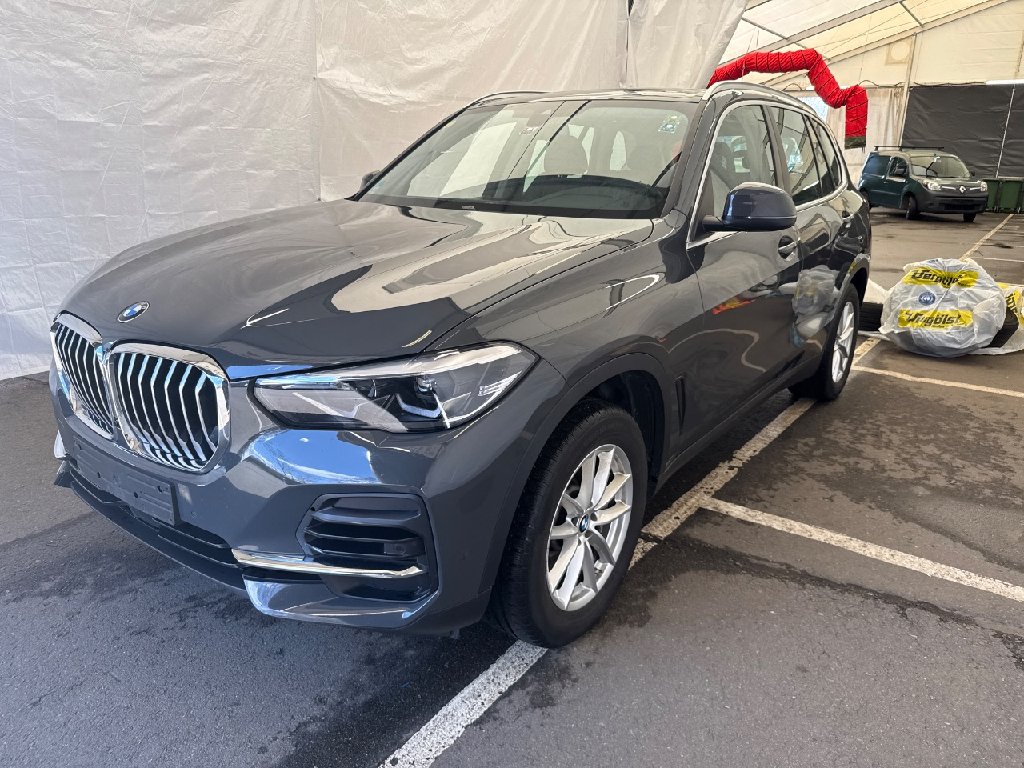 BMW X5 Baureihe X5 xDrive 25 d 2.0 170KW AT8 E6d