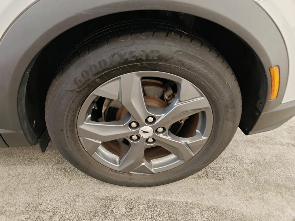 Foto 19 van Ford Mustang