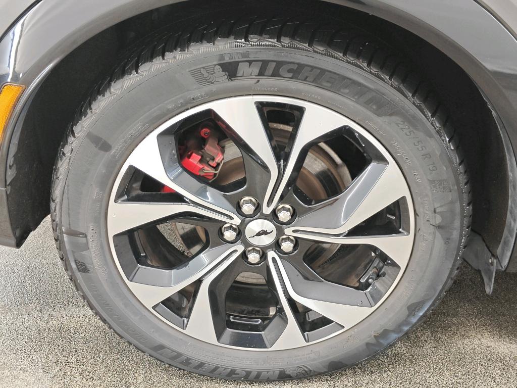 Foto 8 van Ford Mustang